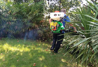 日分享殺蟲(chóng)的藥有哪些？有什么作用！